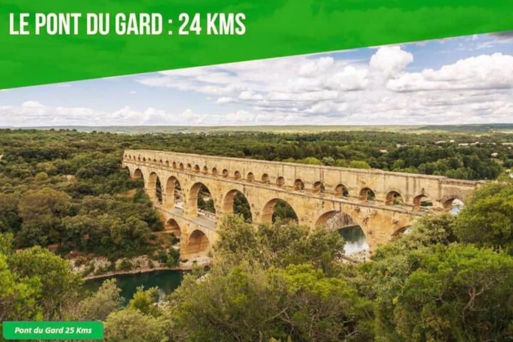 La Balance Des Doms - 1 Min Du Palais Des Papes - Intra-Muros Avignon Eksteriør billede
