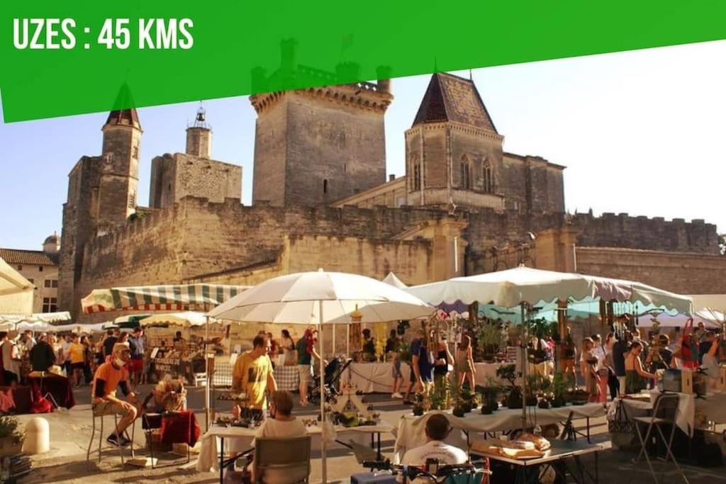 La Balance Des Doms - 1 Min Du Palais Des Papes - Intra-Muros Avignon Eksteriør billede